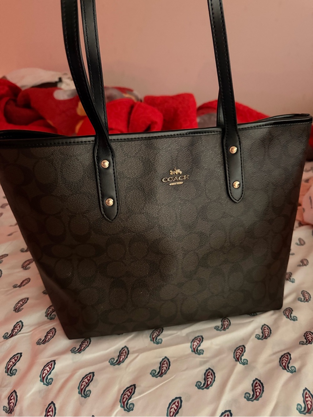 COACH Black / Brown Large Signature Canvas Tote Bag